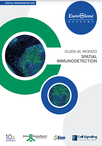 Spatial Immunodetection